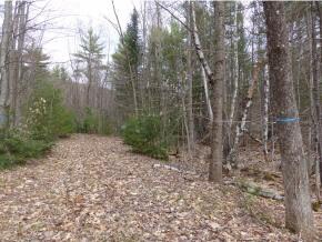 Moderately wooded