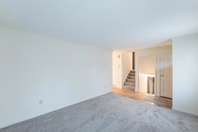 009P1170910