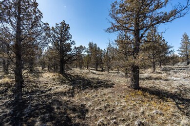 2023_03_29_southwest_texas_circle_lot_36