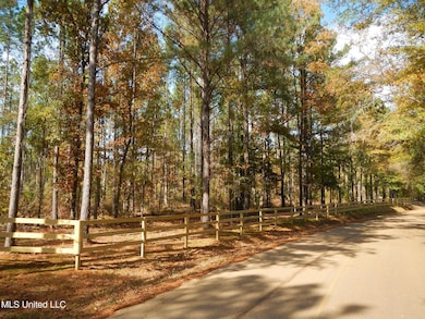 773 Permenter Rd, Camden, MS 39045 - photo 6