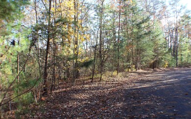 0 Oakridge Mtn Lt 9, Ellijay, GA 30536 - photo 4