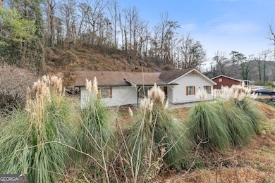 7 Dry Pond Dr, Clayton, GA 30525 - photo 5