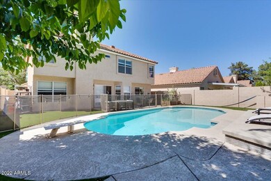 your backyard