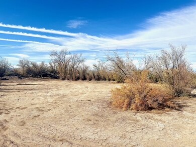 2811 Harold Place, Mohave Valley, AZ 86440 - photo 6
