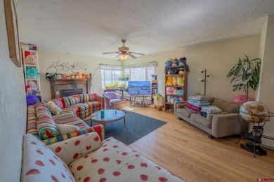 416 N Main St, Gunnison, CO 81230 - photo 3