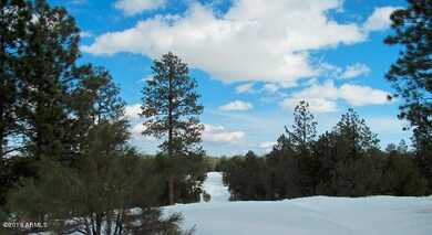arizona_mountain_pines_property_acreage_