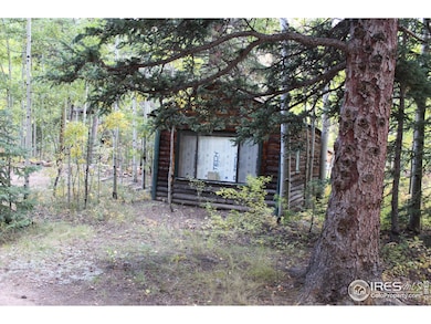 223 Riverside Dr, Lyons, CO 80540 - photo 6