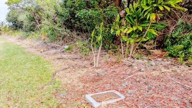 0 Kamaoa Rd unit 726127, Naalehu, HI 96772 - photo 3