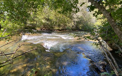 Additional View