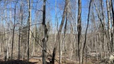 1376 Kingdom Rd, Plymouth, VT 05056 - photo 7