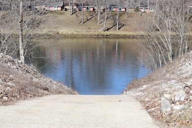 Lot 108 Cane Island Rd, Flippin, AR 72634 - photo 2