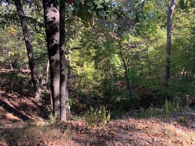 1 Balderton Ln, Bella Vista, AR 72714 - photo 2