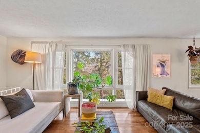 28 Graystone Rd, Asheville, NC 28804 - photo 5