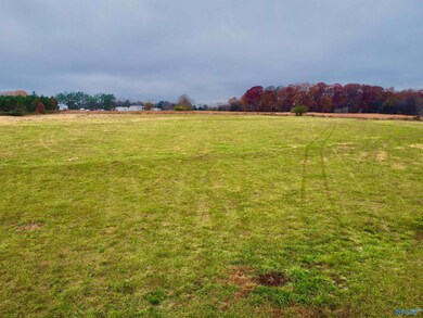 Tract 3 County Road 89, Anderson, AL 35610 - photo 4