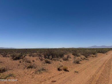 IMG_3940