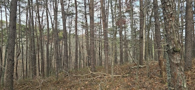 Tract 30 Gillespie Rd SE, Fairmount, GA 30139 - photo 6