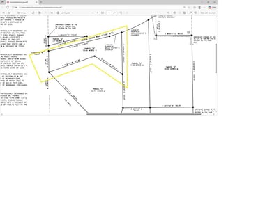 13 Acres Goat Hill Rd, Samson, AL 36477 - photo 5