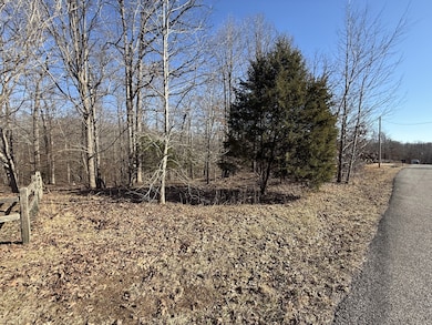 20 Backwoods Estates, Indian Mound, TN 37079 - photo 2