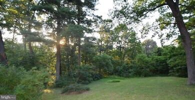 16371 Senedo Rd, Edinburg, VA 22824 - photo 7