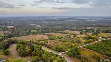 000 Country Farm Rd, Lyon Township, MO 63013 - photo 7