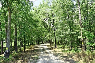 TBD Plat E1171-8, Summerton, SC 29148 - photo 2