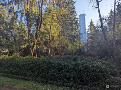 10614 Suncrest Dr, Anderson Island, WA 98303 - photo 4