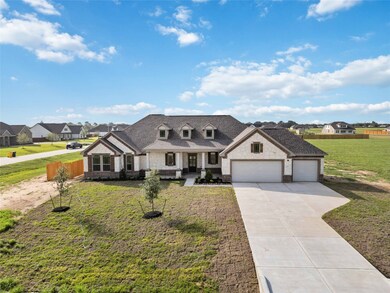 11011 Water Tower Dr, Needville, TX 77461 - photo 3