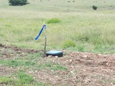 47 Cottonwood Mesa Dr, Kempner, TX 76539 - photo 2