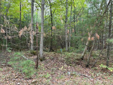 M40 L13-7 Mallard Rd, Madison, ME 04950 - photo 7