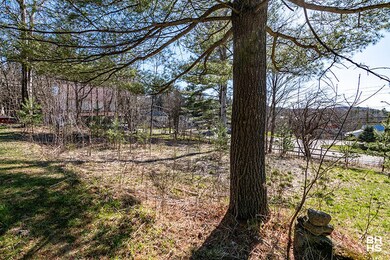 LotOnGrandviewInSaranacLake_Lot_Tree