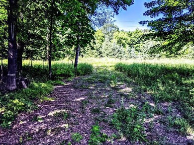 N1233 Deer Head Point, Rusk, WI 54728 - photo 5