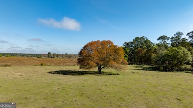 0 Lost Rd, Arabi, GA 31712 - photo 3