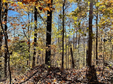 0 Royal Oaks Trail unit 23615967, Young Harris, GA 30582 - photo 7