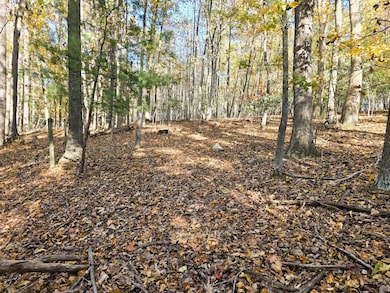 4acs Reid Rd, Lexington, VA 24450 - photo 4