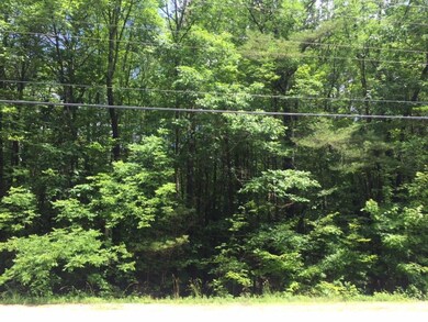 0 Doles Ridge Rd, Limerick, ME 04048 - photo 6