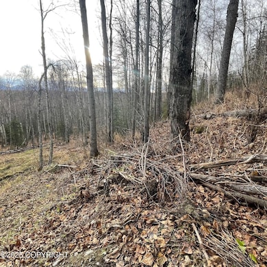 5500 W Birch Harbor Dr, Knik-Fairview, AK 99654 - photo 2