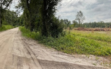 0 SW 79th Dr unit 118331, Jasper, FL 32052 - photo 7