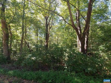 0 Dudley Mountain Rd, North Garden, VA 22959 - photo 3