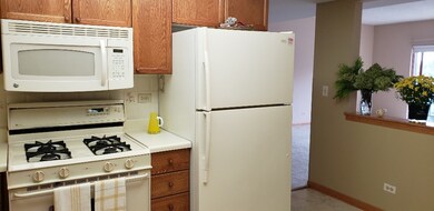 820 Graceland Ave unit 405, Des Plaines, IL 60016 - photo 4