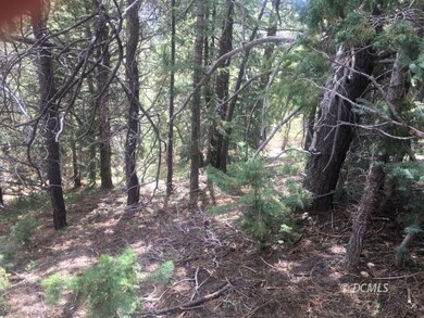 Interior Lot View