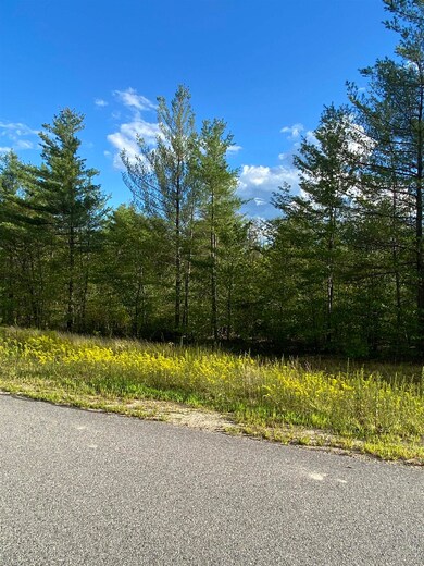 87 Grandview Rd, Conway, NH 03860 - photo 6