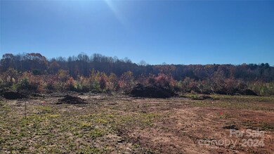 0 McCurry Farm Ln, Lincolnton, NC 28092 - photo 6