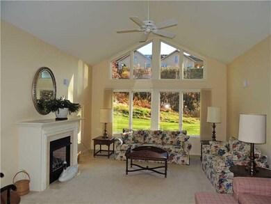 Spectacular windows in the living room with a gas 