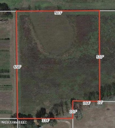 19.28ac Cooks Corner Rd, Lucedale, MS 39452 - photo 4