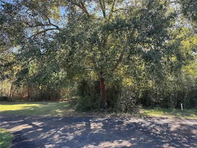 24879 Macedonia Rd, Hockley, TX 77447 - photo 5