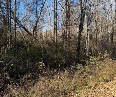 0 Williams Bridge Rd unit 25752991, Toccoa, GA 30577 - photo 6