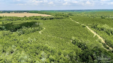 48 Watson Rd, Jay, FL 32565 - photo 6