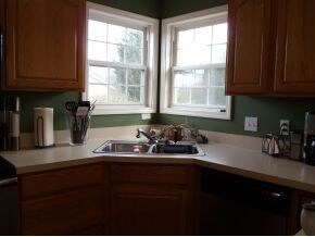 Double Window Over Sink