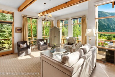 250 Mountain Laurel Dr unit B, Aspen, CO 81611 - photo 5