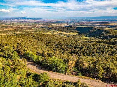 20101 Squirrel Rock Rd, Cedaredge, CO 81413 - photo 6